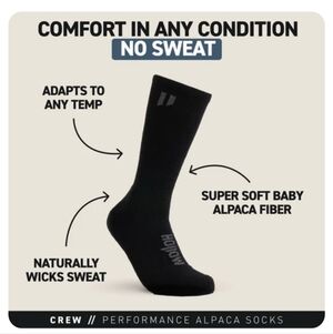 HOLLOW PERFORMANCE ALPACA SOCKS- CREW- BLACK - M
